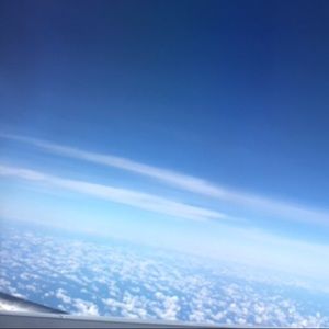 Meet your Posher, Zoey